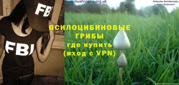 Альфа ПВП Аркадак