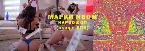 мдпв Арсеньев