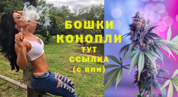 стафф Армянск
